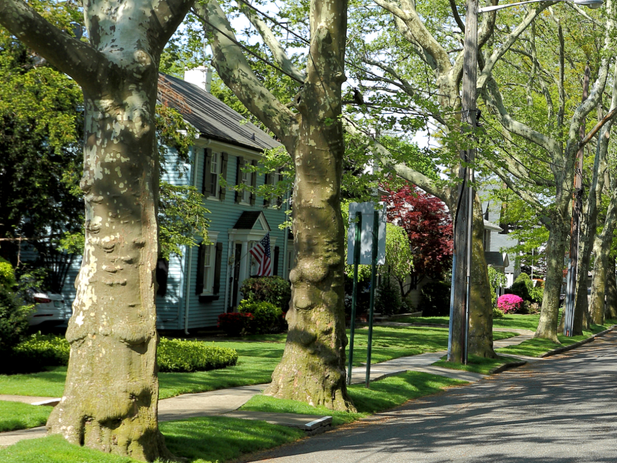 NYC Queens Tree Lined Street 002 1200X900