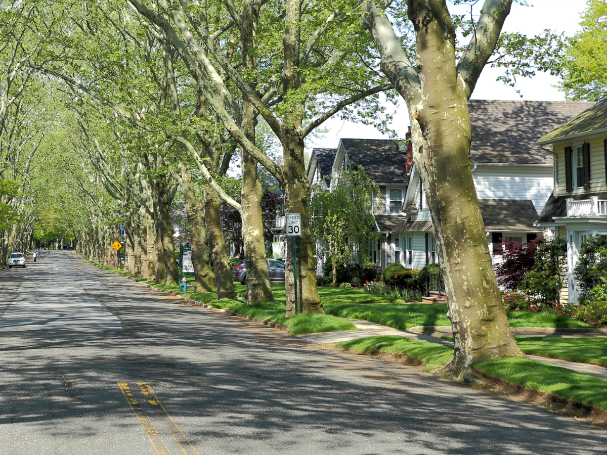 NYC Queens Tree Lined Street 1200X900